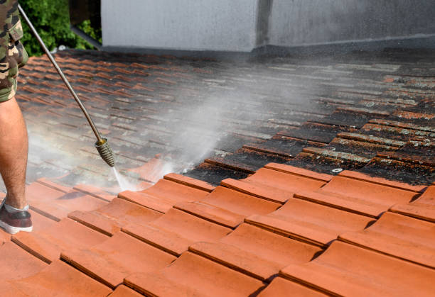 Best Pressure Washing Near Me  in Manteo, NC